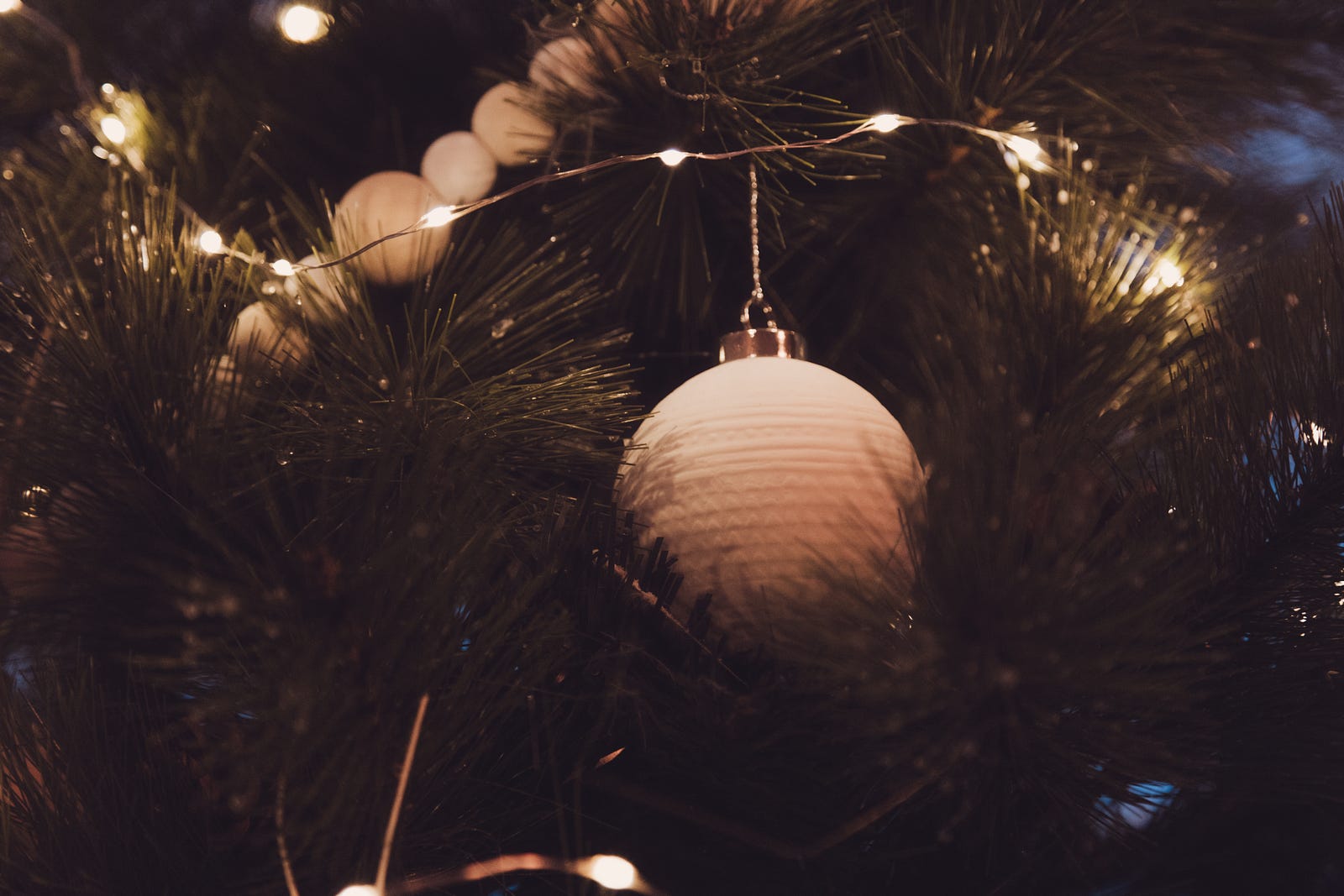 The Cricket On Hearth A Fairy Tale Of Home Mission Medium A Christmas Story By Charles Ens Part 4