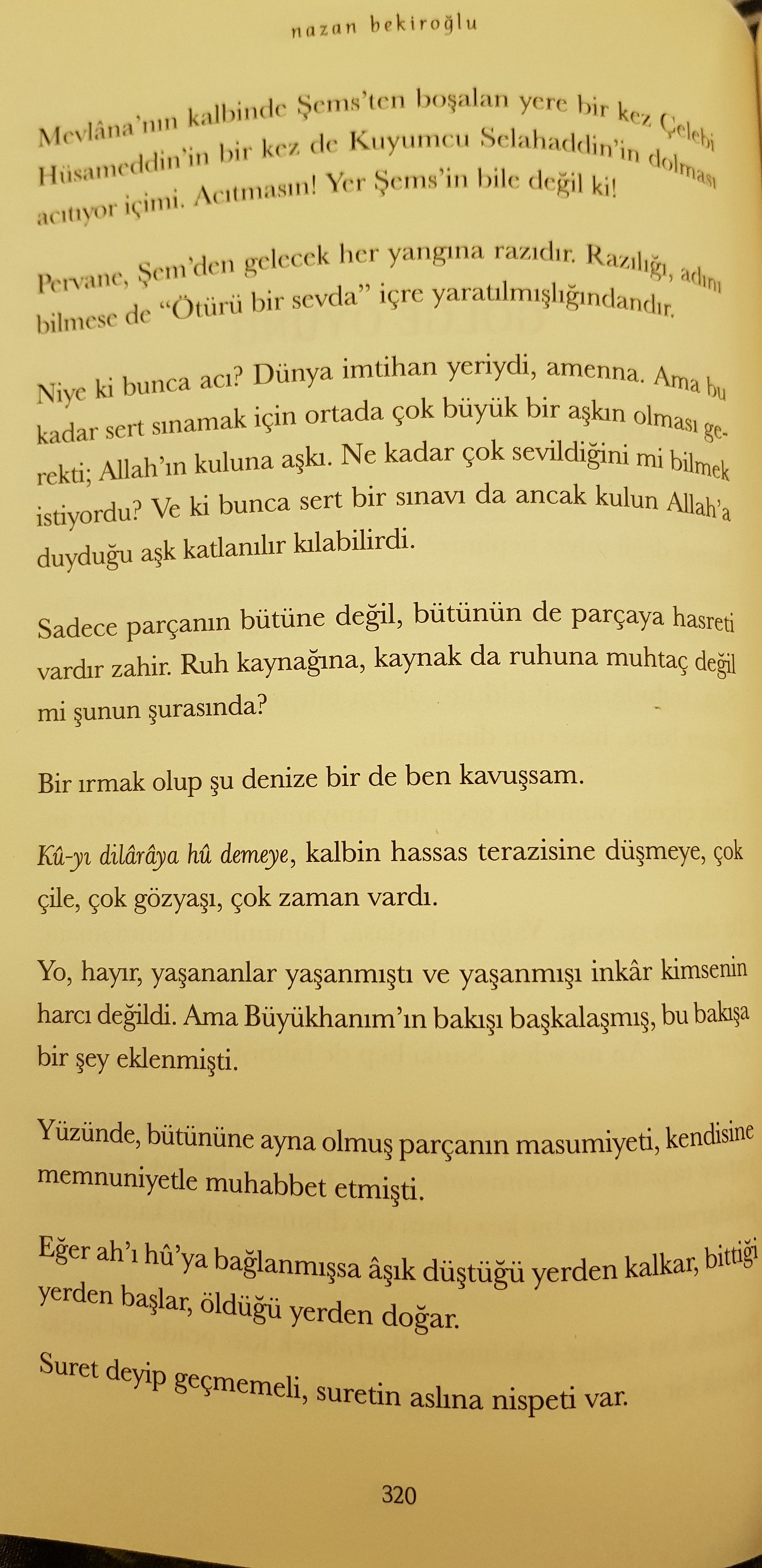 Sevgi Dilenmek Sevgi Dilenmek