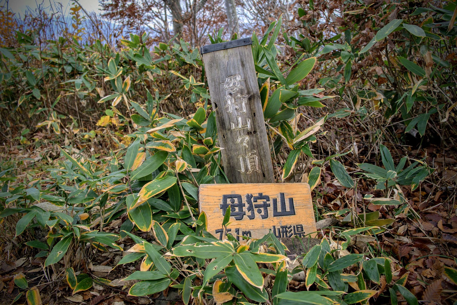 A sign stating ‘Mt. Hokari’ found at the summit that can be held up