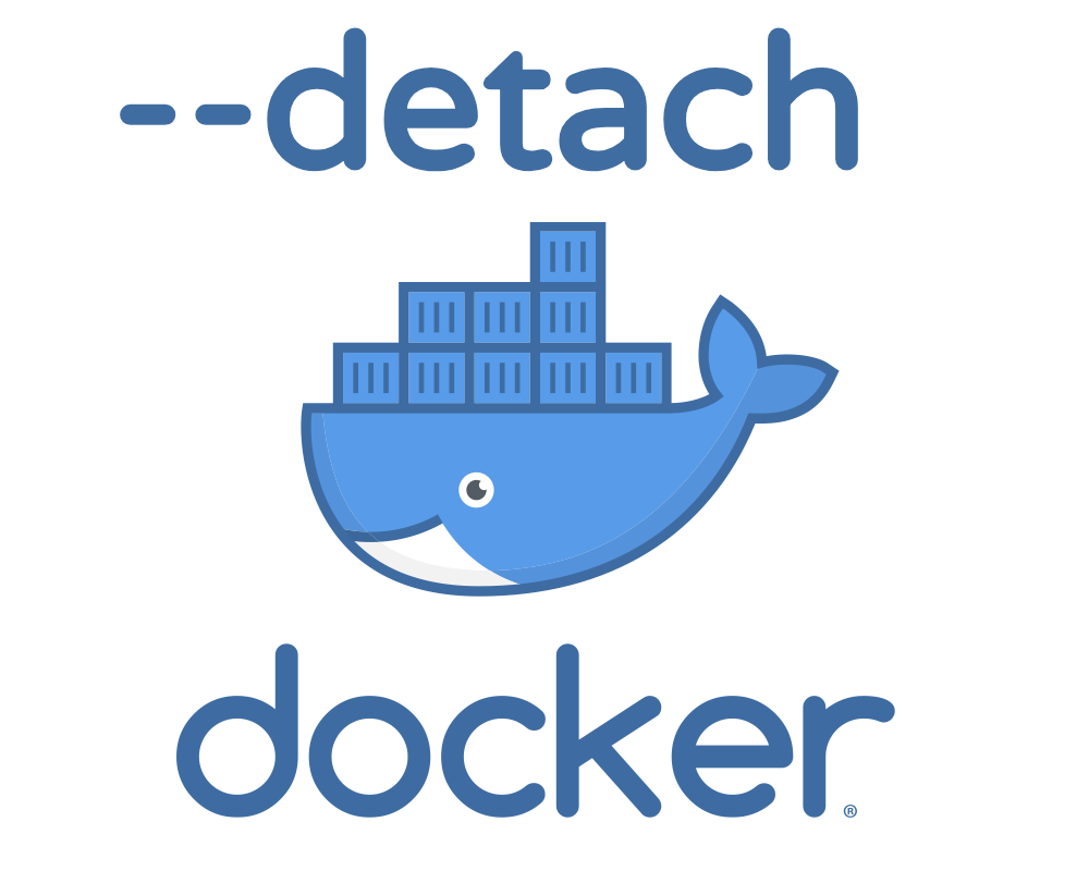 docker-s-detached-mode-for-beginners-freecodecamp