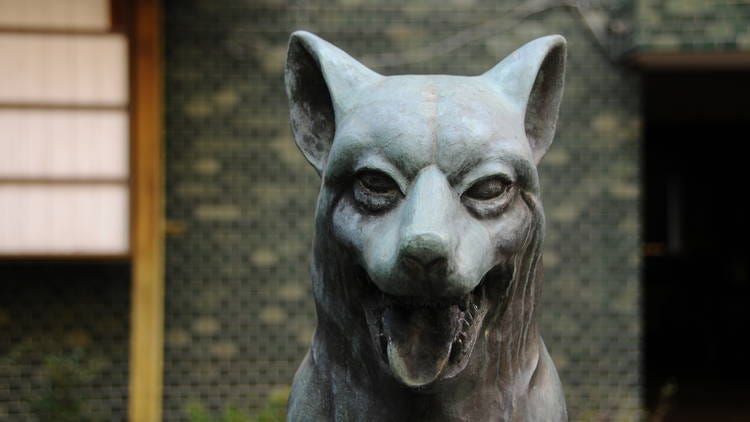 A statue of a wolf at Shibuya’s Miyamasu Mitake Shrine in Tokyo