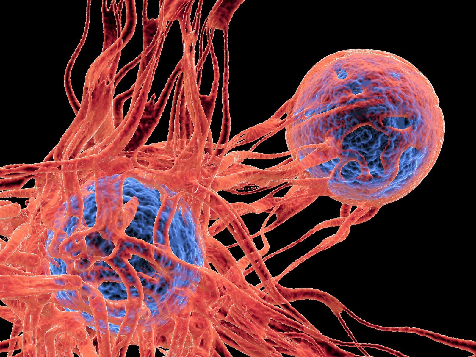 we-can-now-customize-cancer-cures-tumor-by-tumor-mit-technology