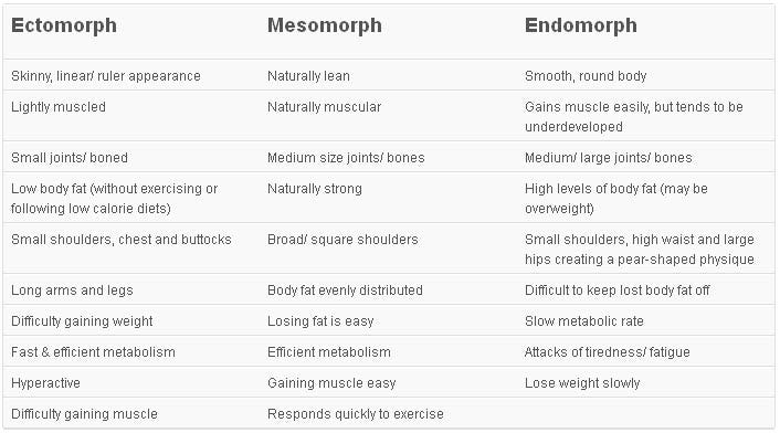 Ectomorph Body Type Women Diet