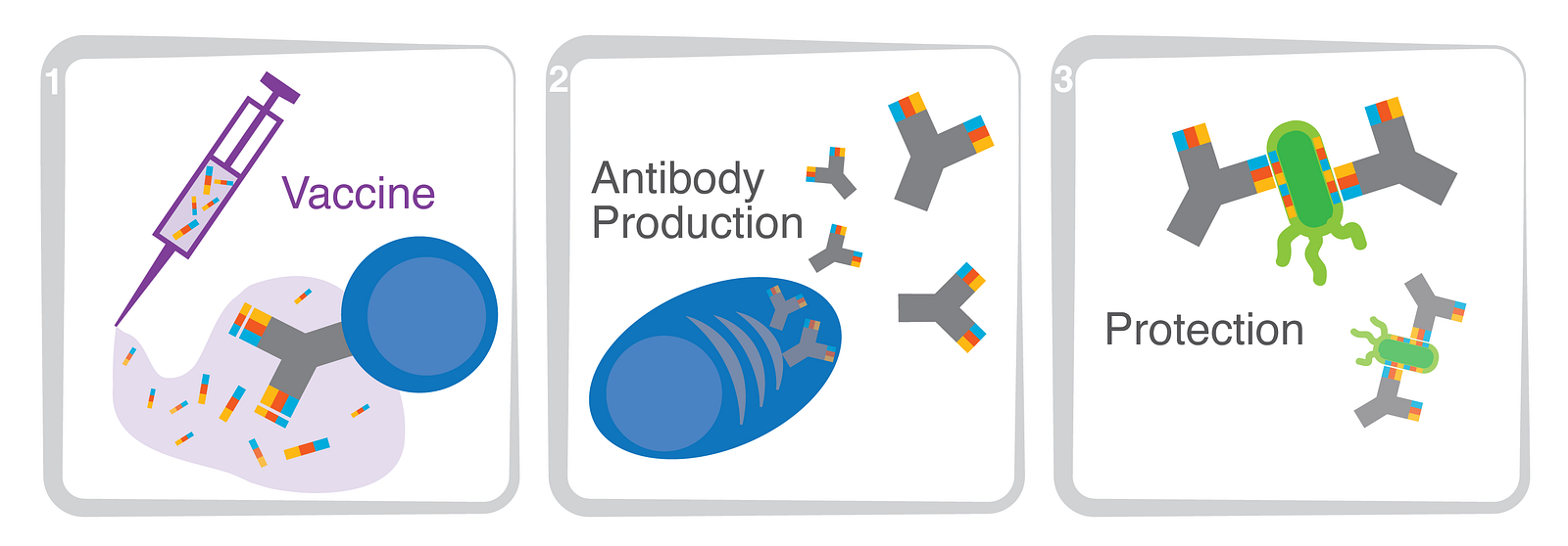 blood xa test Friend America â & Foe Healthcare in Antibodies:
