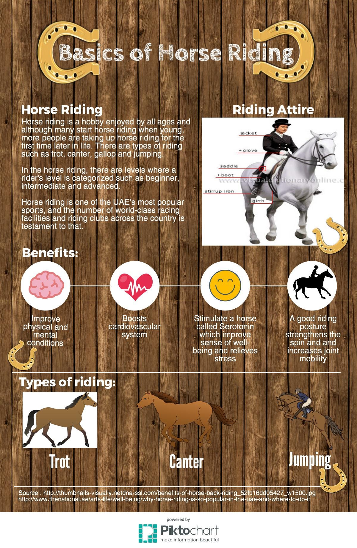 Facts, Advices and Basics of Horse Riding Maryam AlShamsi Medium
