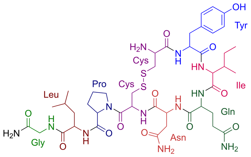 Chemistry of love Script Grandeur Medium