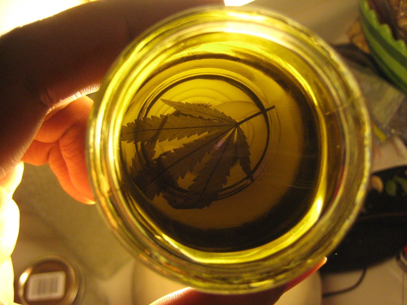 Image result for cbd hemp oil for sale