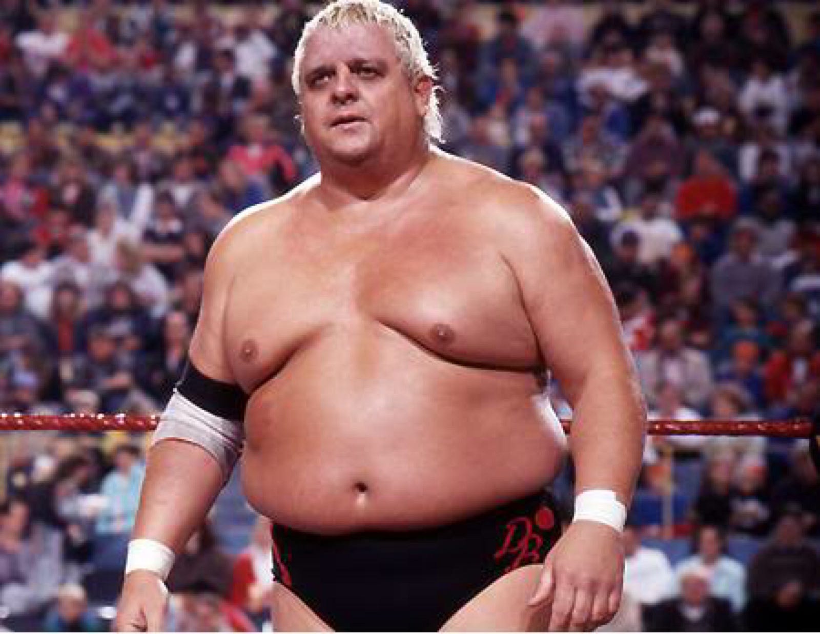 wwe wrestlers fat