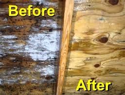 Engaging The Most Professional And Qualified Mold Inspection You Need To Consider The Health Problems Ociated With Mold Infestation And Try Fetch Quick Removal Istance Molds Have Been Known Cause