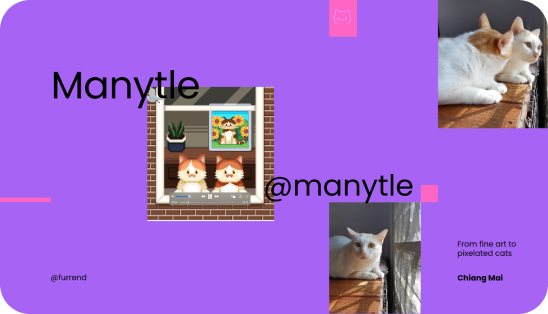 Manytle: From Fine Art to Pixelated Cats