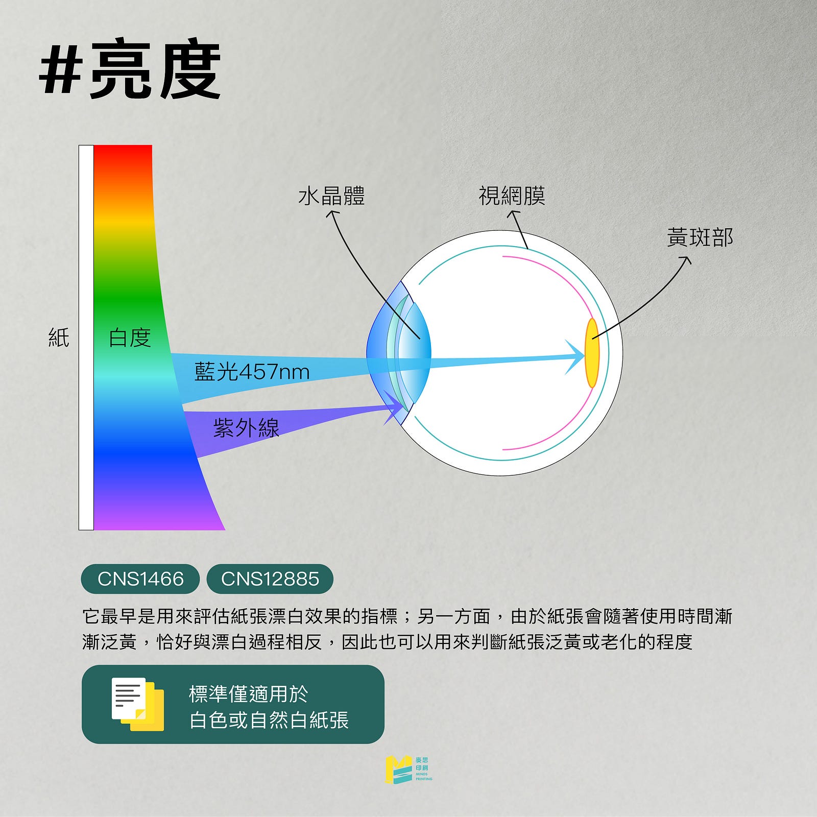 紙張的「白」不等於「亮」！他們差在哪裡呢？ — 亮度