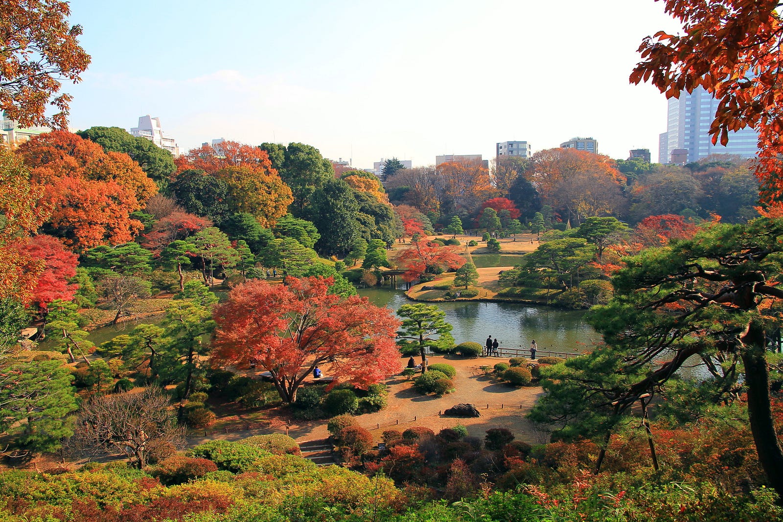 Rikugien Garden Tokyo’s Best Japanese Garden with Autumn Leaves