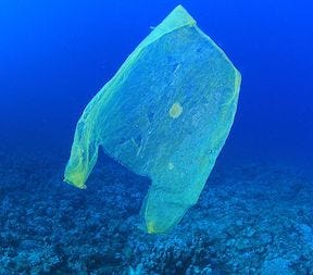 Una bolsa de plástico flotando en el océano.