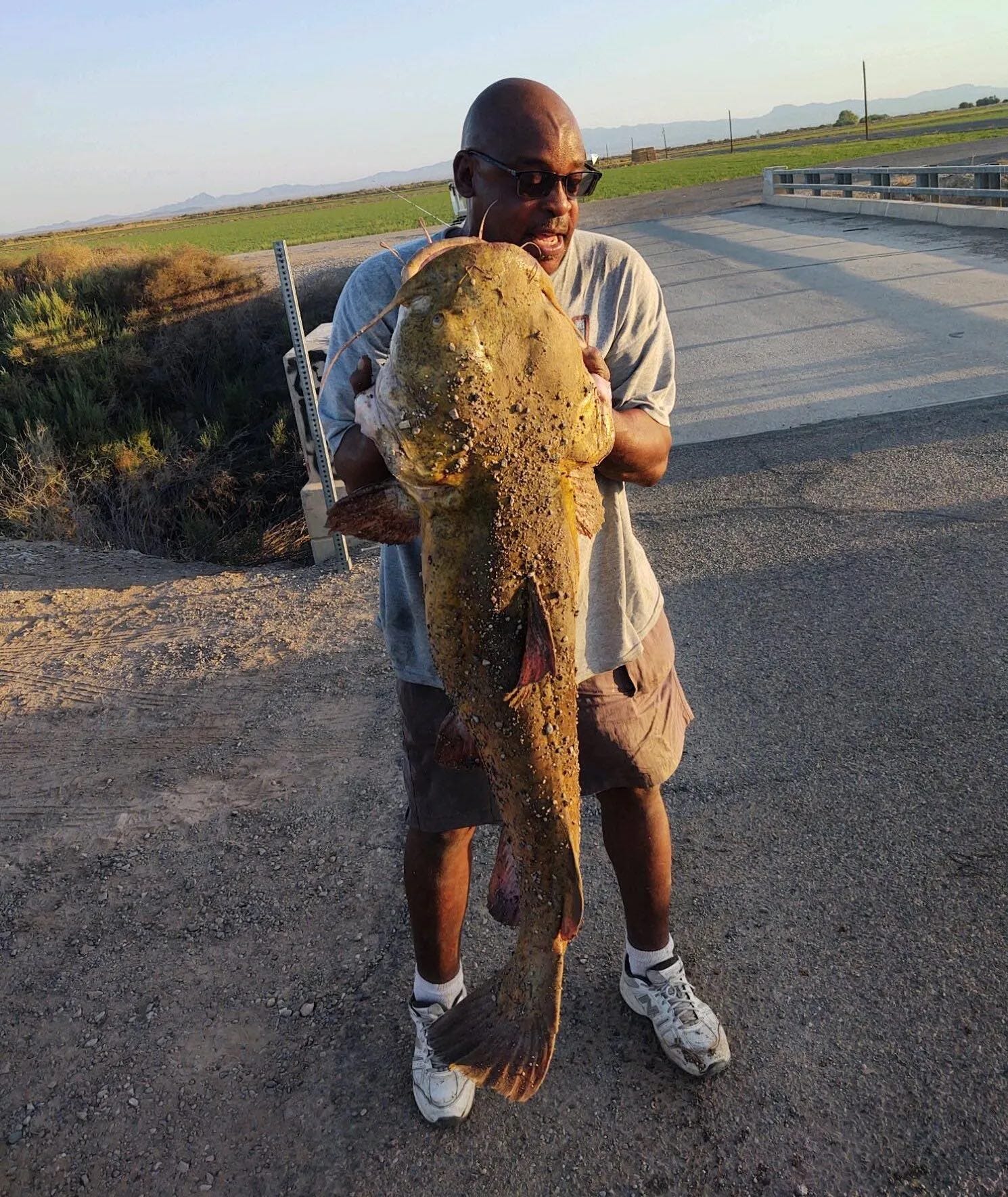 Man holding Giant Catfish caught near Parker, AZ