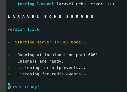 Laravel echo server options