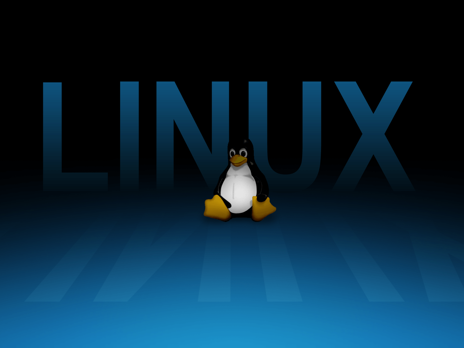 The Top 20 Linux Commands you Must know Right Now