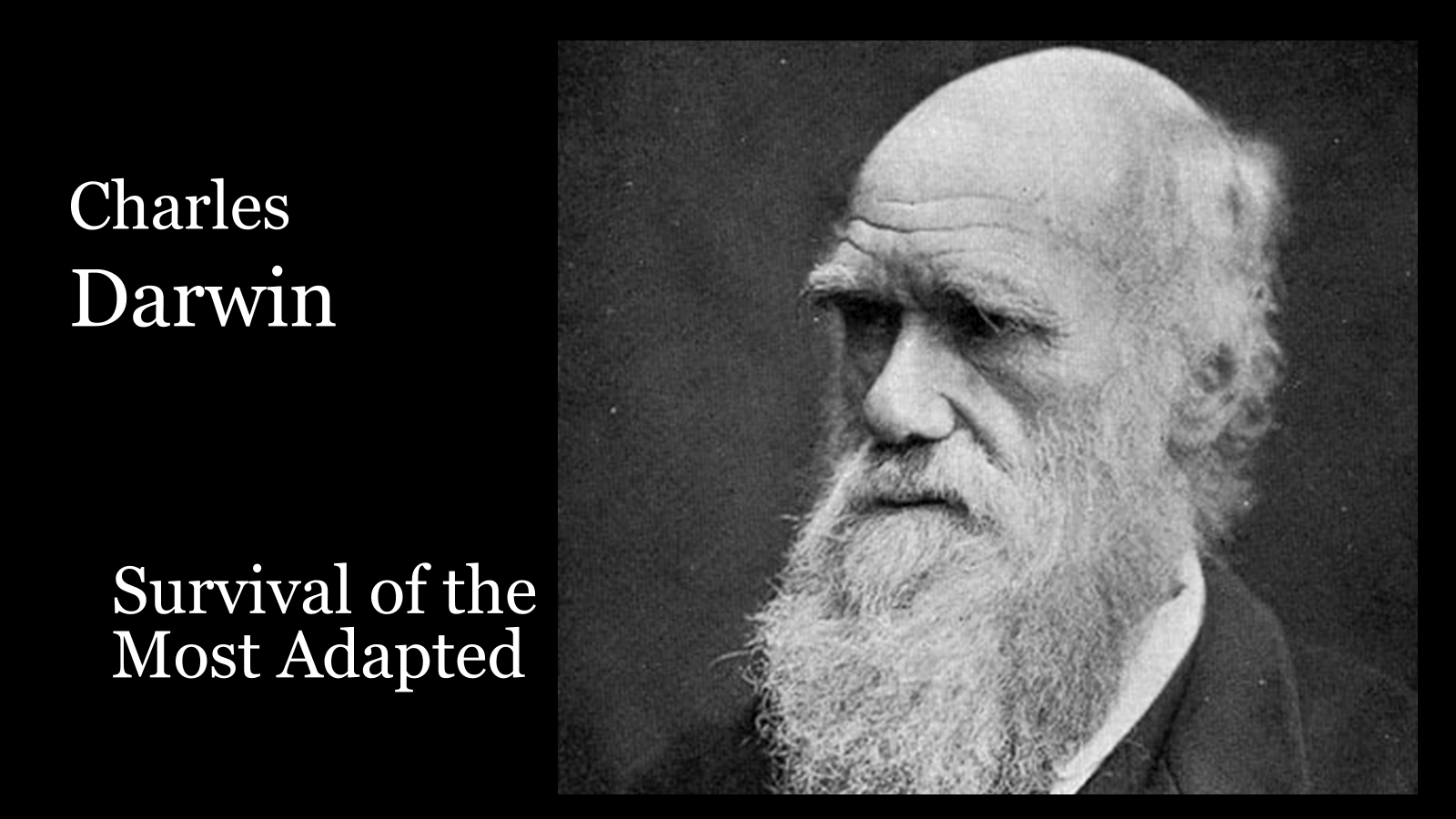 What Darwin Actually Said About Survival