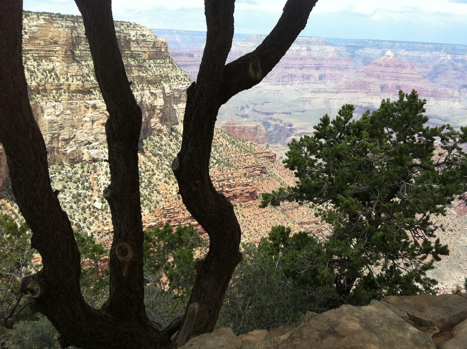 7-000-feet-above-sea-level-karen-thompkins-medium