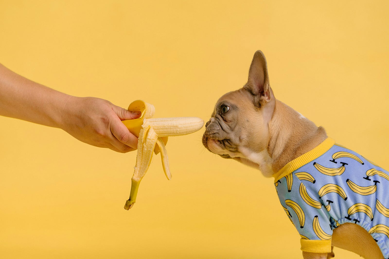 Looking At Other Men’s Bananas