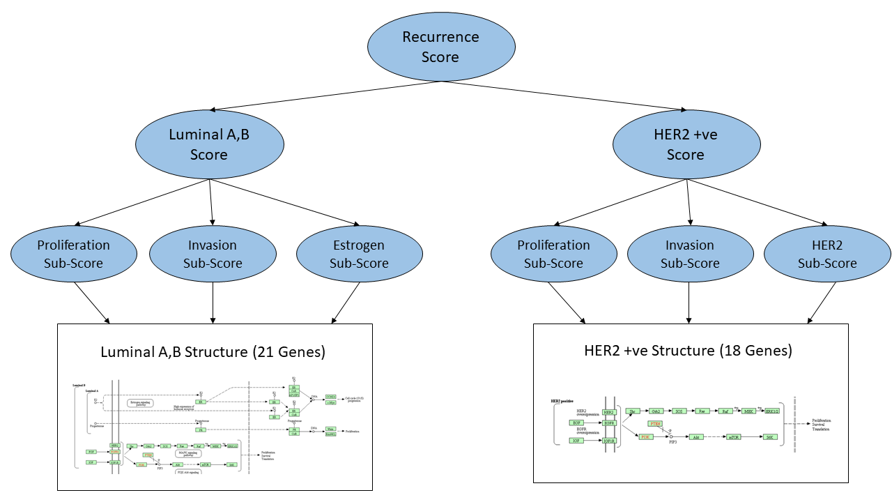 Machine Learning Is The Future Of Cancer Prediction