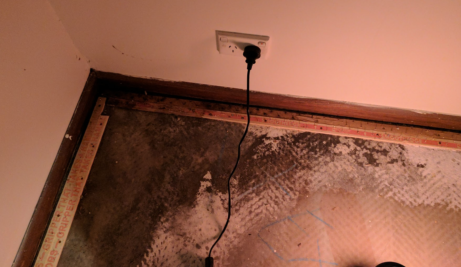 Mould Is The New Asbestos DCWAIM Medium