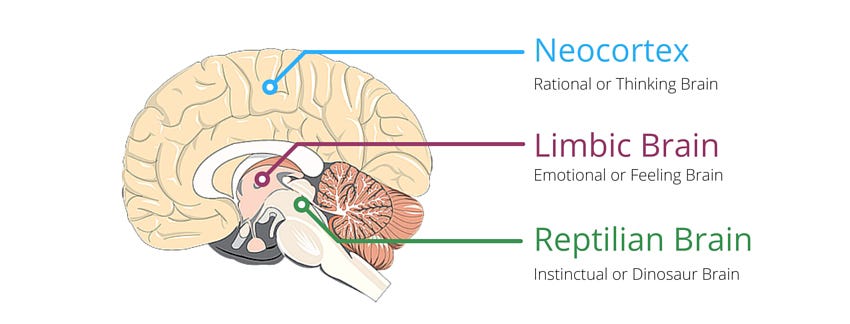 How to be More Successful by Using Reptilian and Limbic Hot Buttons.