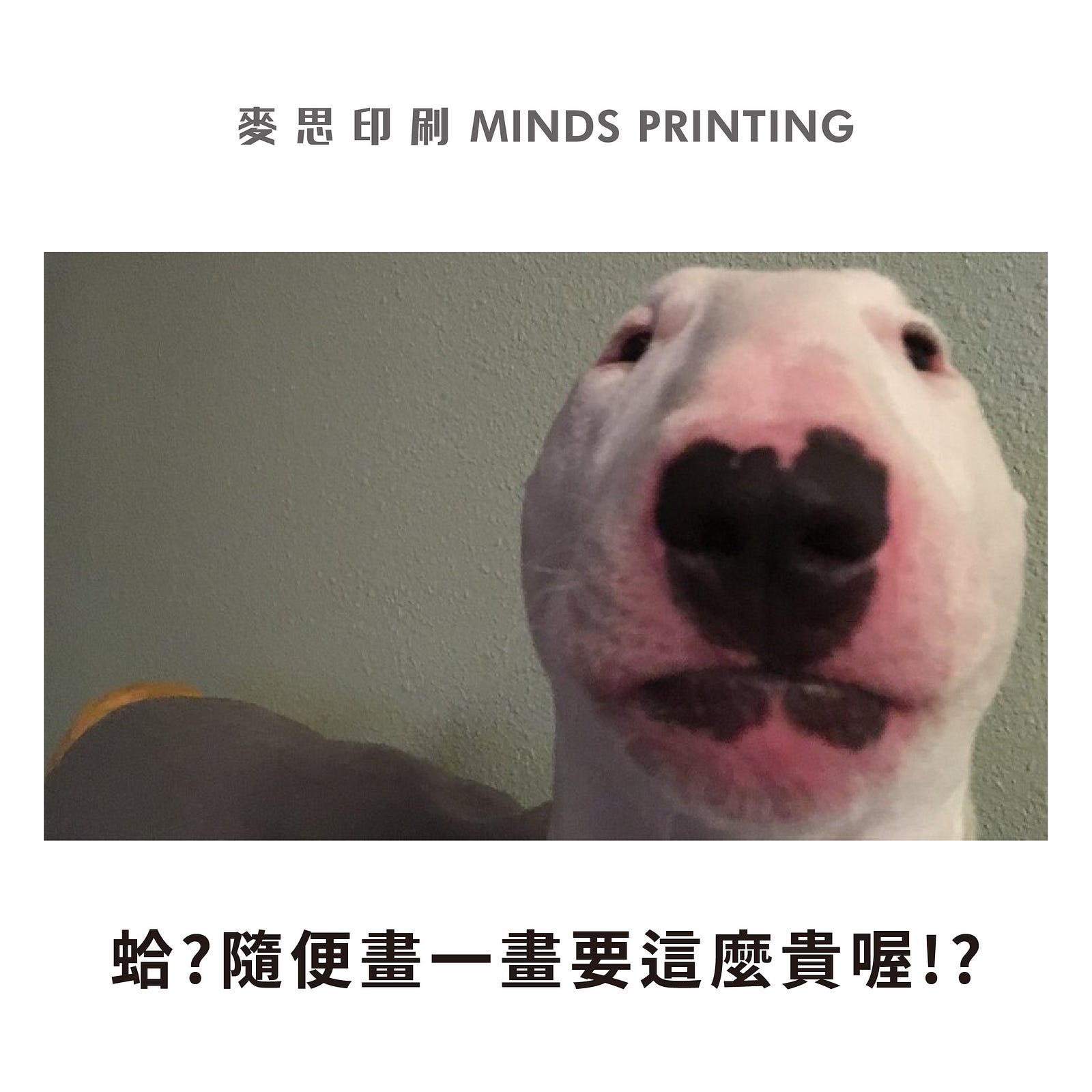 惹怒設計師