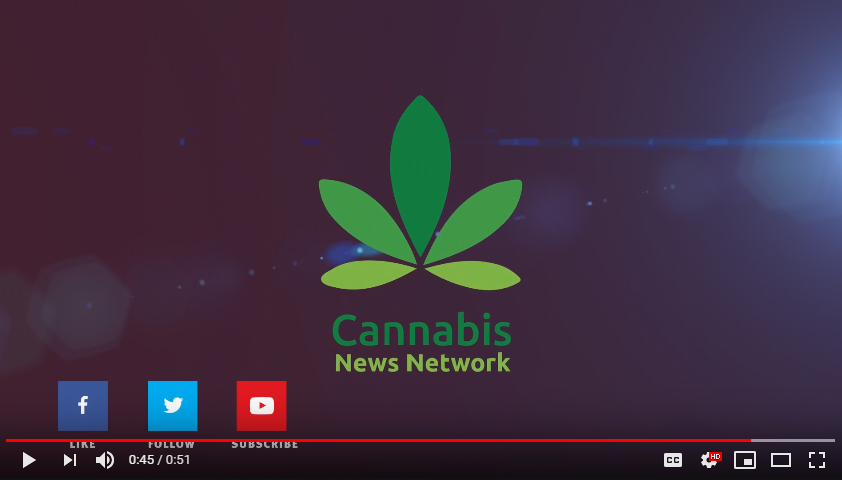 youtube cannabis news network - best weed pages to follow on instagram