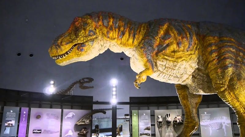 A T-Rex model at the Fukui Prefectural Dinosaur Museum in Katsuyama