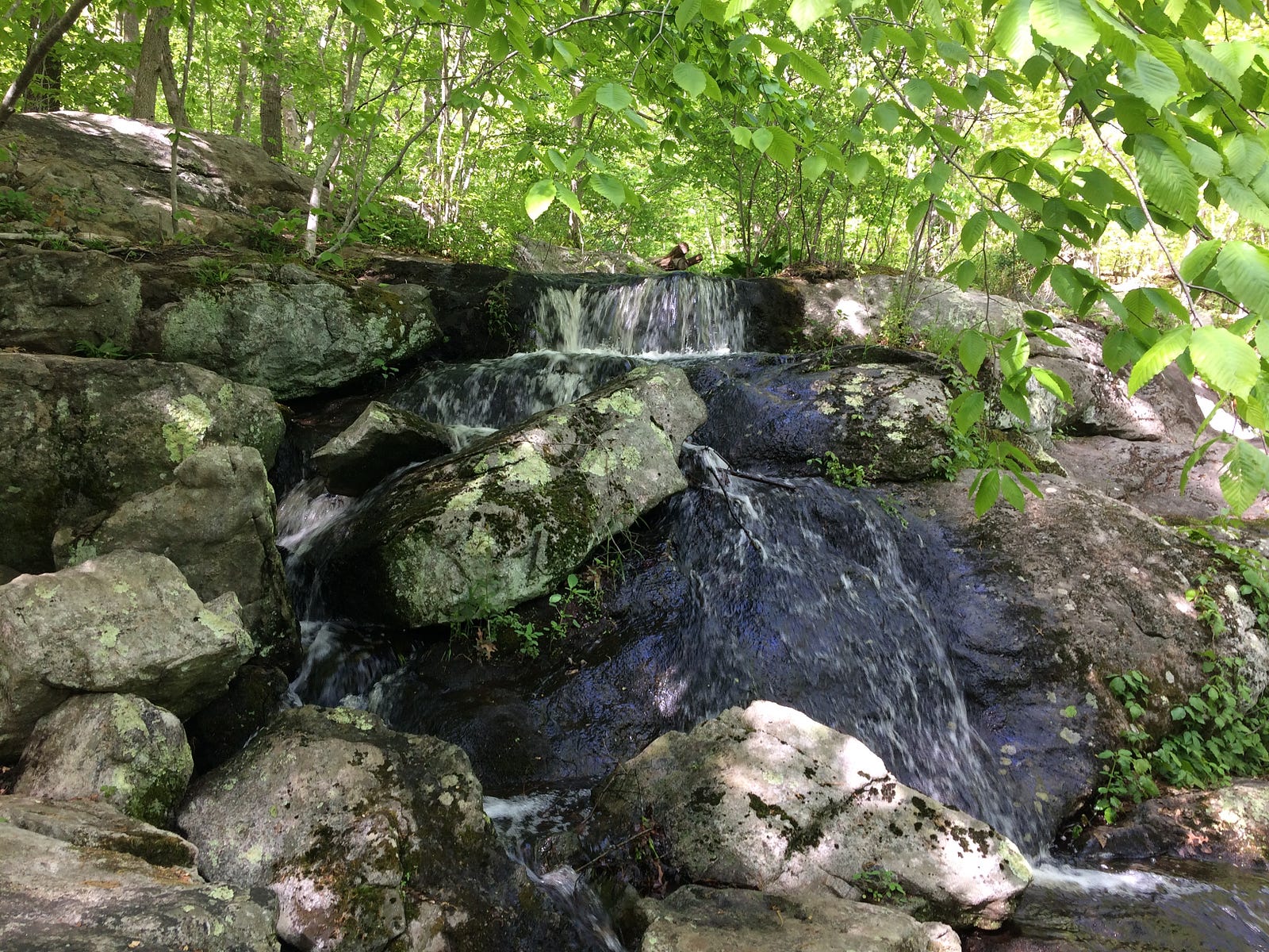 Photo of a woodland waterfall at The Sheep Farm, Groton, CT