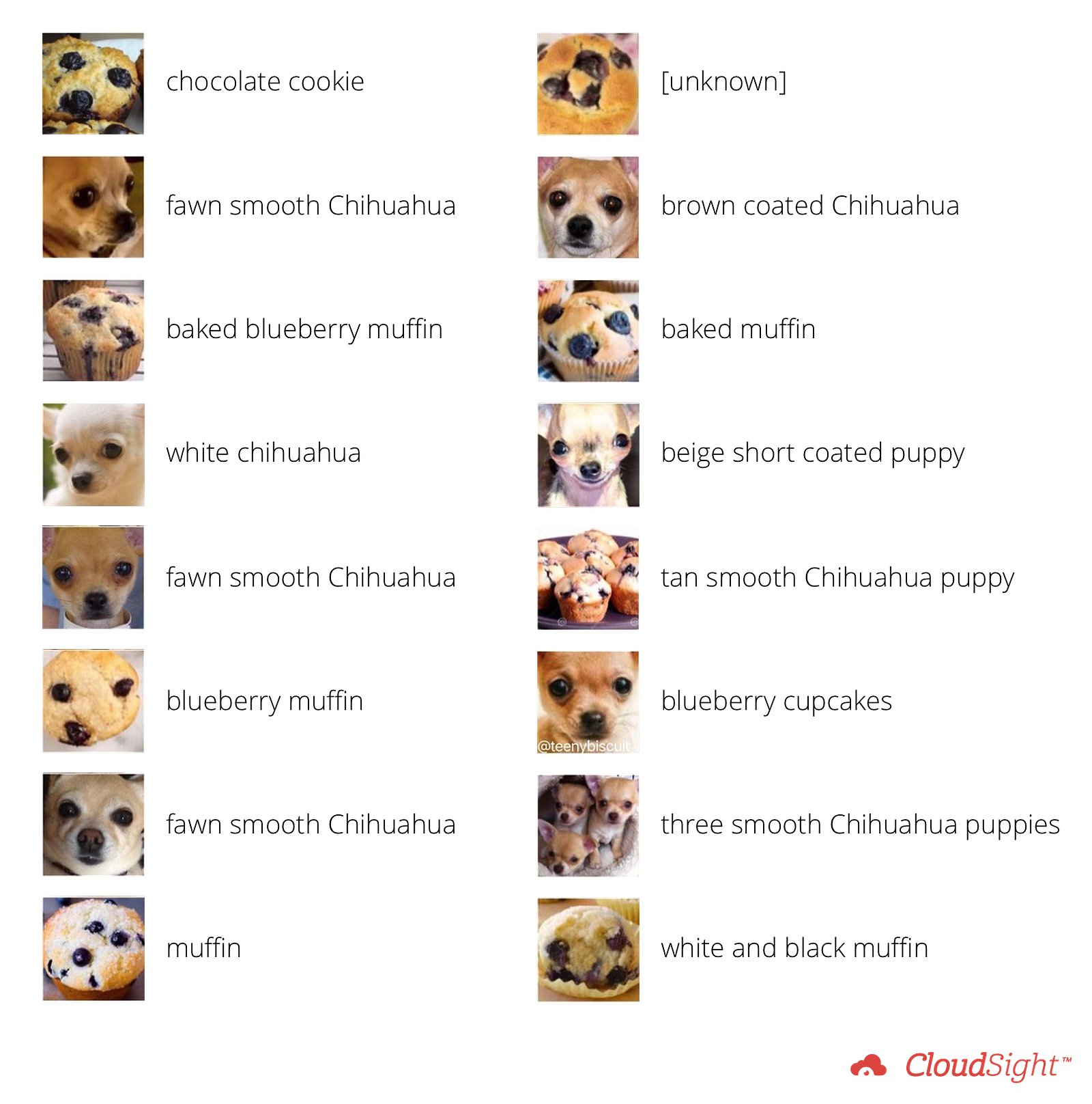 Chihuahua or Muffin? CloudSight