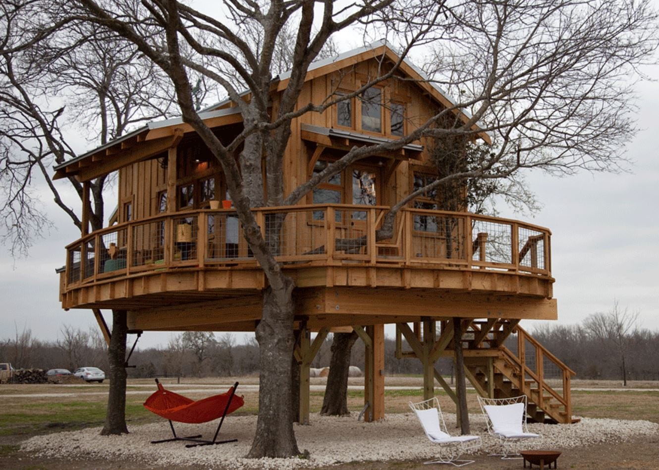 Dream Tree House Abodes Live In A Cool Tree Home Carol Ruth er