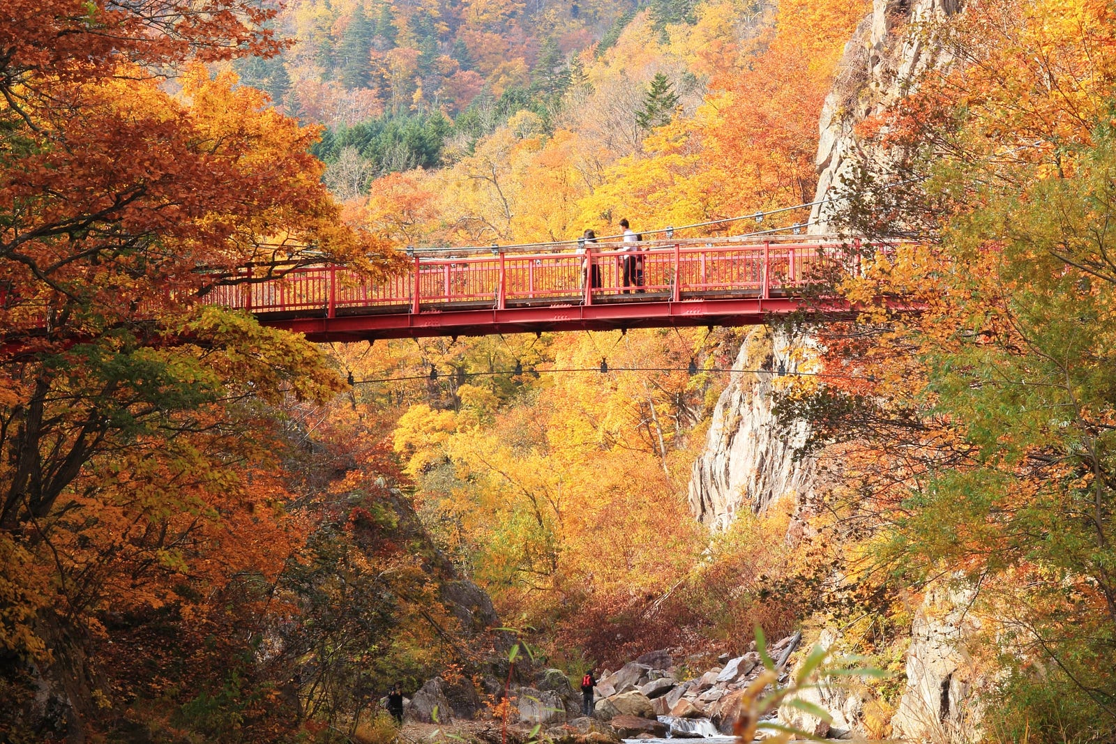 5 Best Autumn Leaves Spots in Hokkaido Japan Travel Guide JW Web