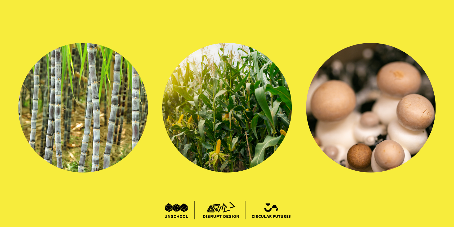 3 images in circles of bamboo, corn, mushrooms