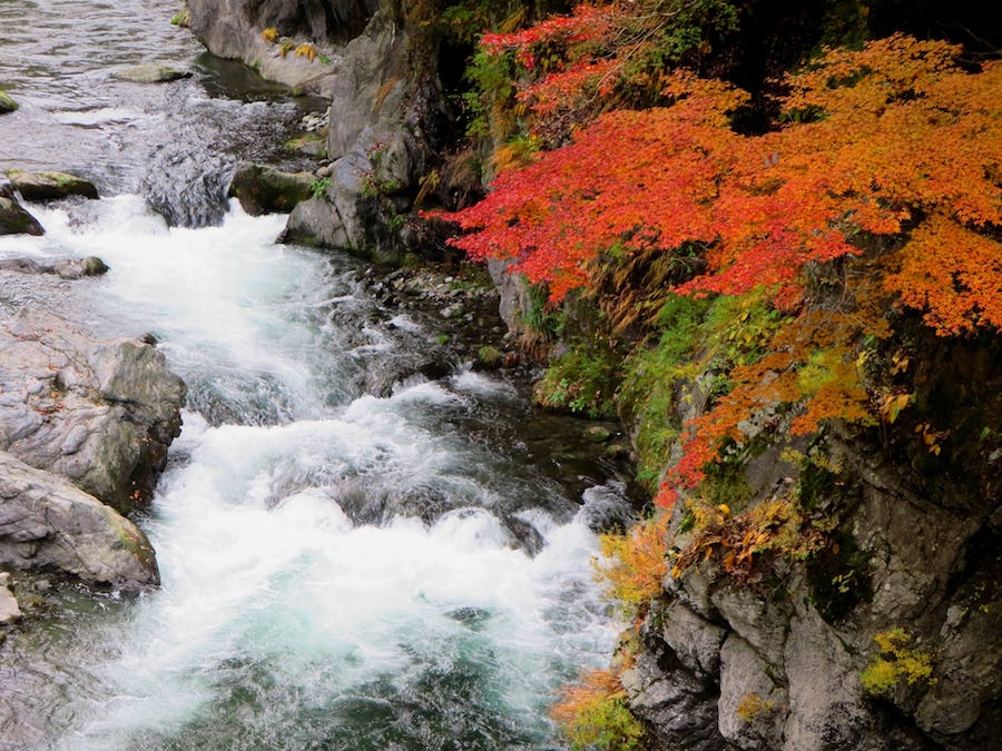 A river in Tokyo’s Okutama area, a great spot for koyo during autumn