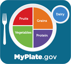 My plate gov approach for a healthy balanced diet