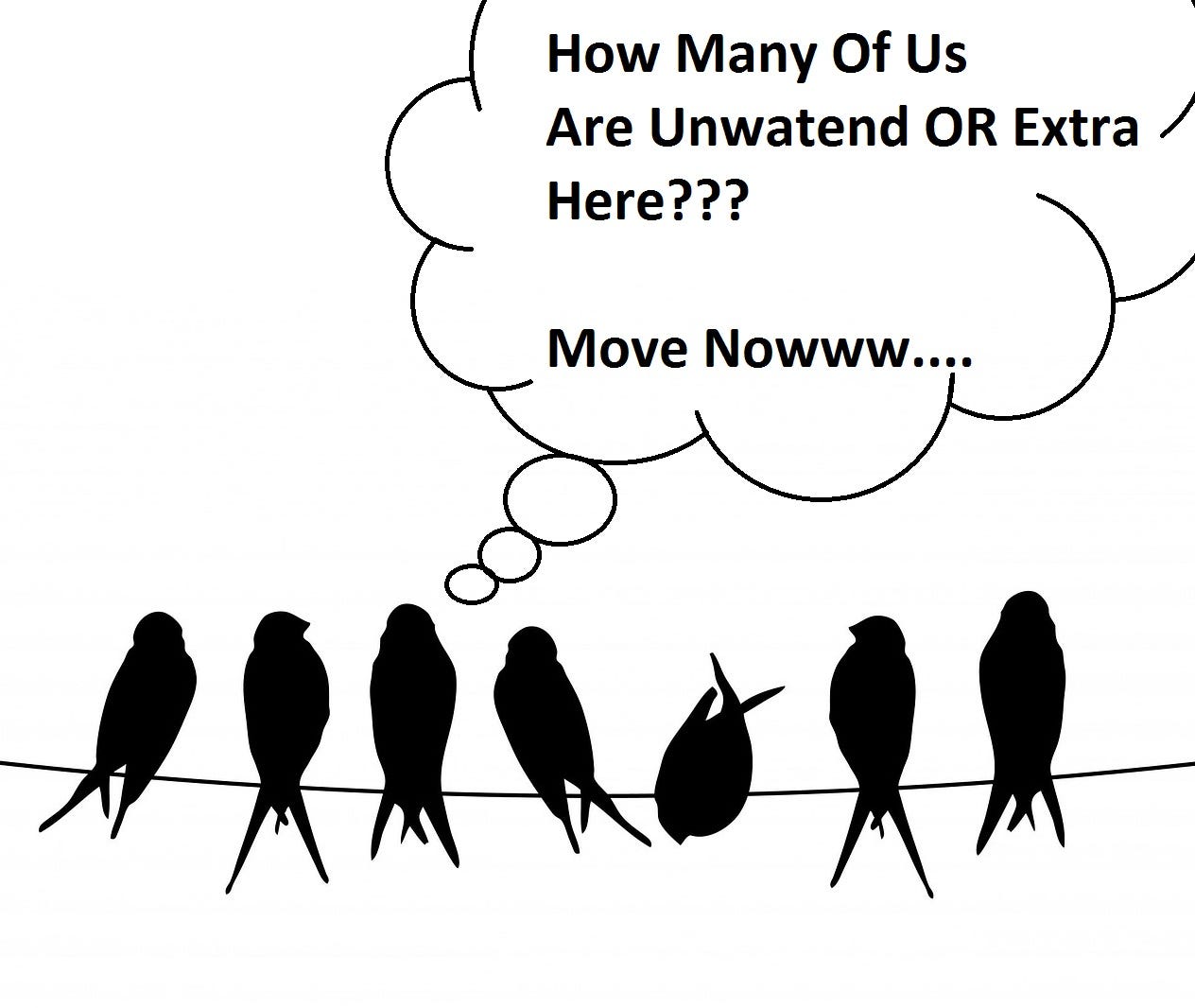 How to Deal With Unwanted Birds? Arnold Kotak Medium