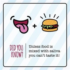 saliva taste dental food facts fun unless mixed dentaltown tongue medium fact