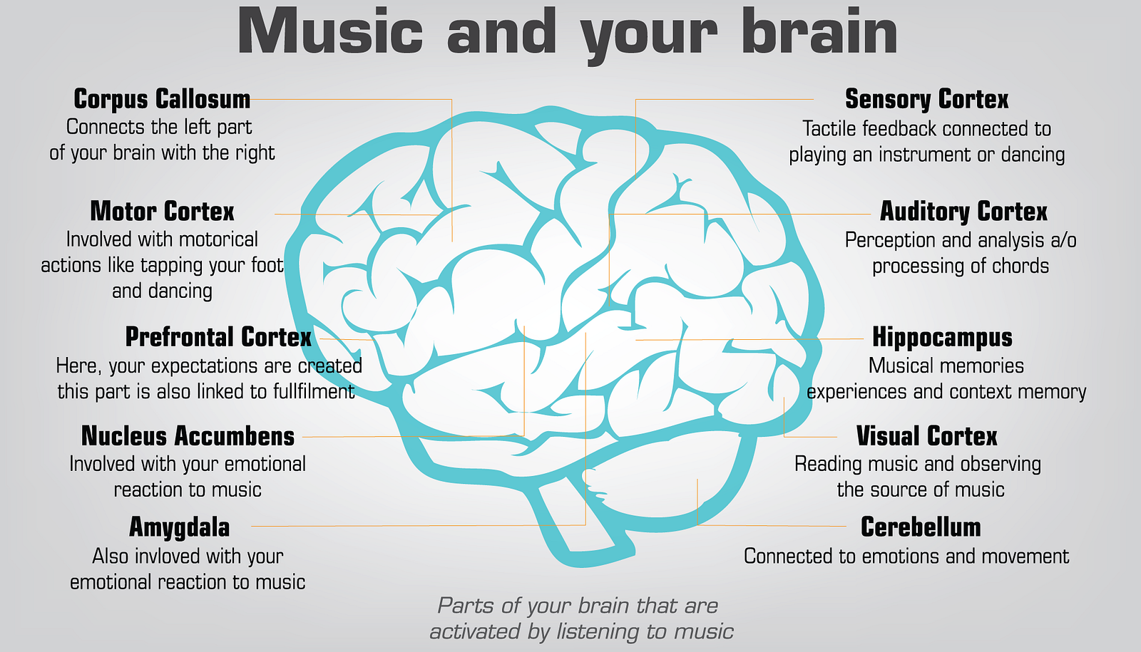 How Music Affects And Benefits Your Brain
