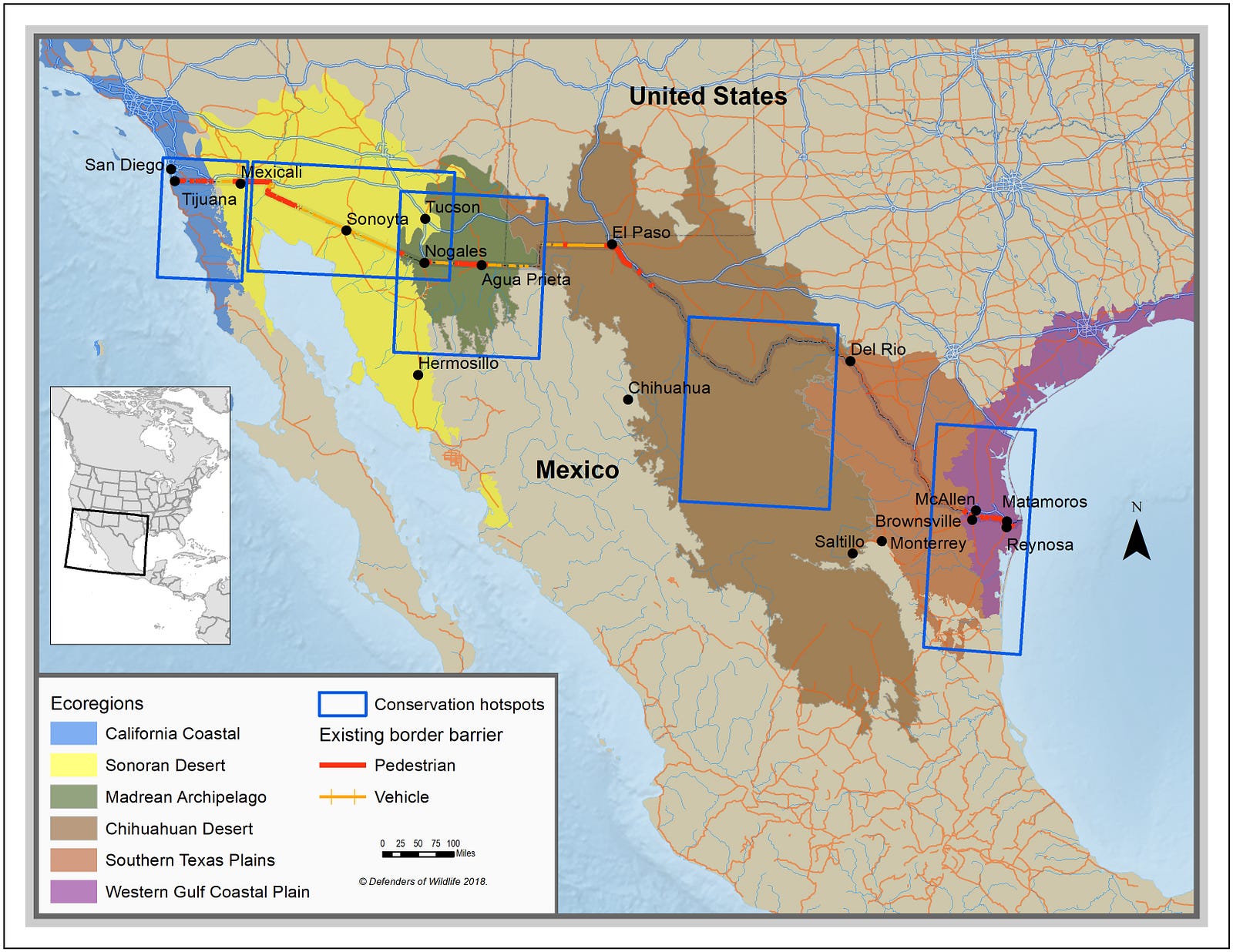 Scientists Declare Border Wall a Disaster for Biodiversity