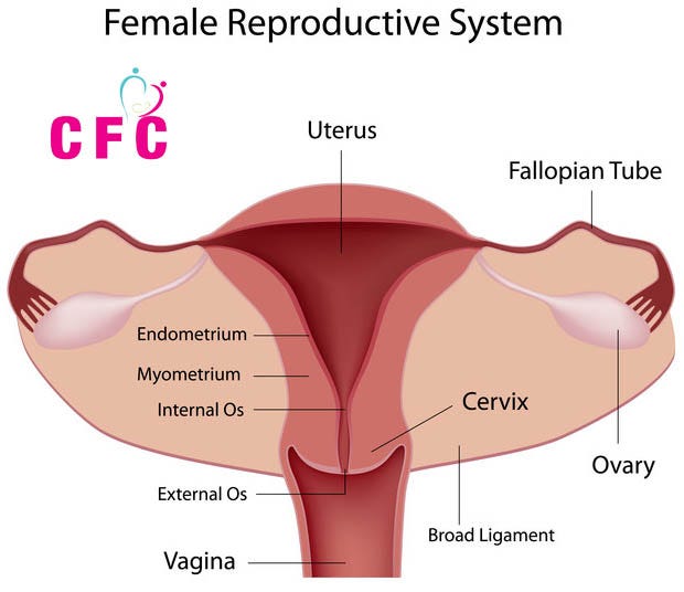 Energy Excercise To Open Blocked Fallopian Tubes Naturally