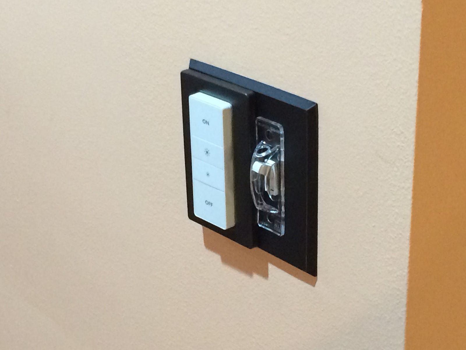 The instructions that should have came with my Phillips Hue dimmer switch.