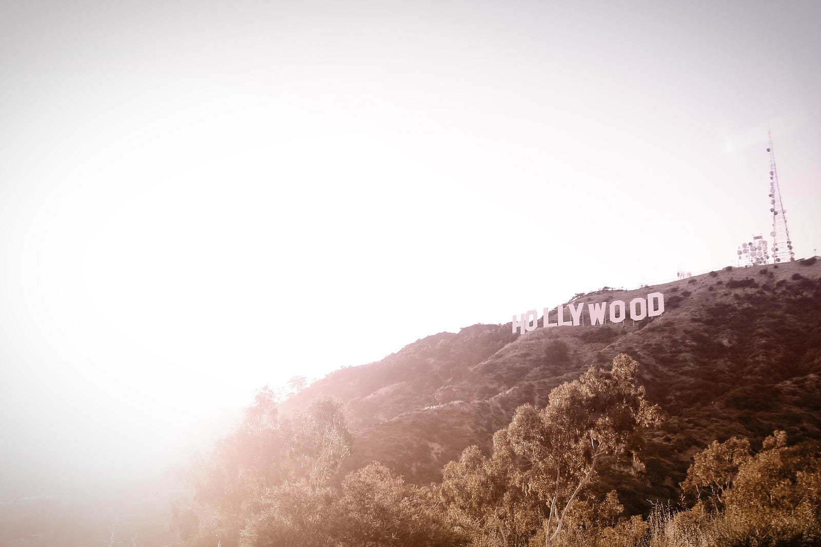 everyone-should-work-in-hollywood-panel-frame-medium