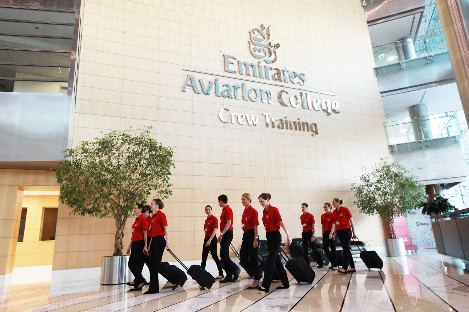 What Does It Really Take To Become Emirates Cabin Crew… And Why 30% Won ...