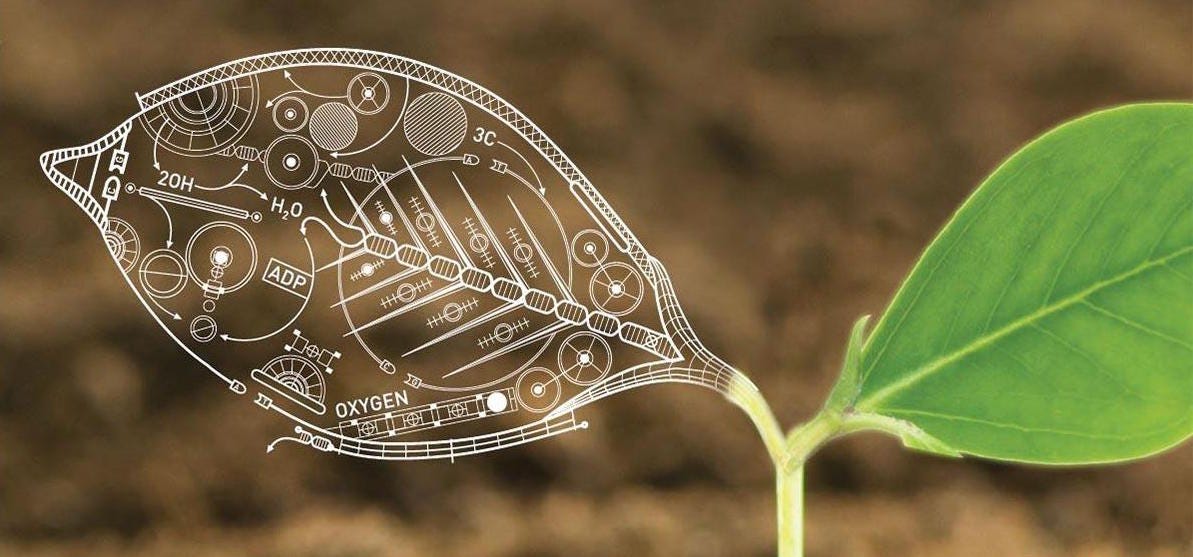 5 Inspiring Ways Synthetic Biology Will Revolutionize Food and Agriculture