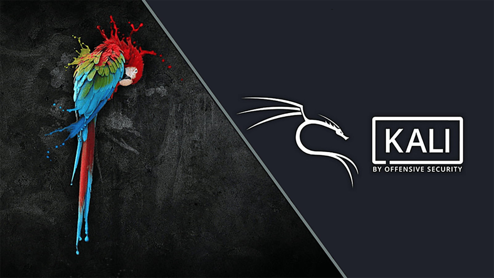 Kali Linux vs Parrot OS Which one is better?