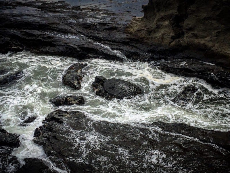 A stone turtle swims back to the dragon gods palace outside of the back of Enoshima