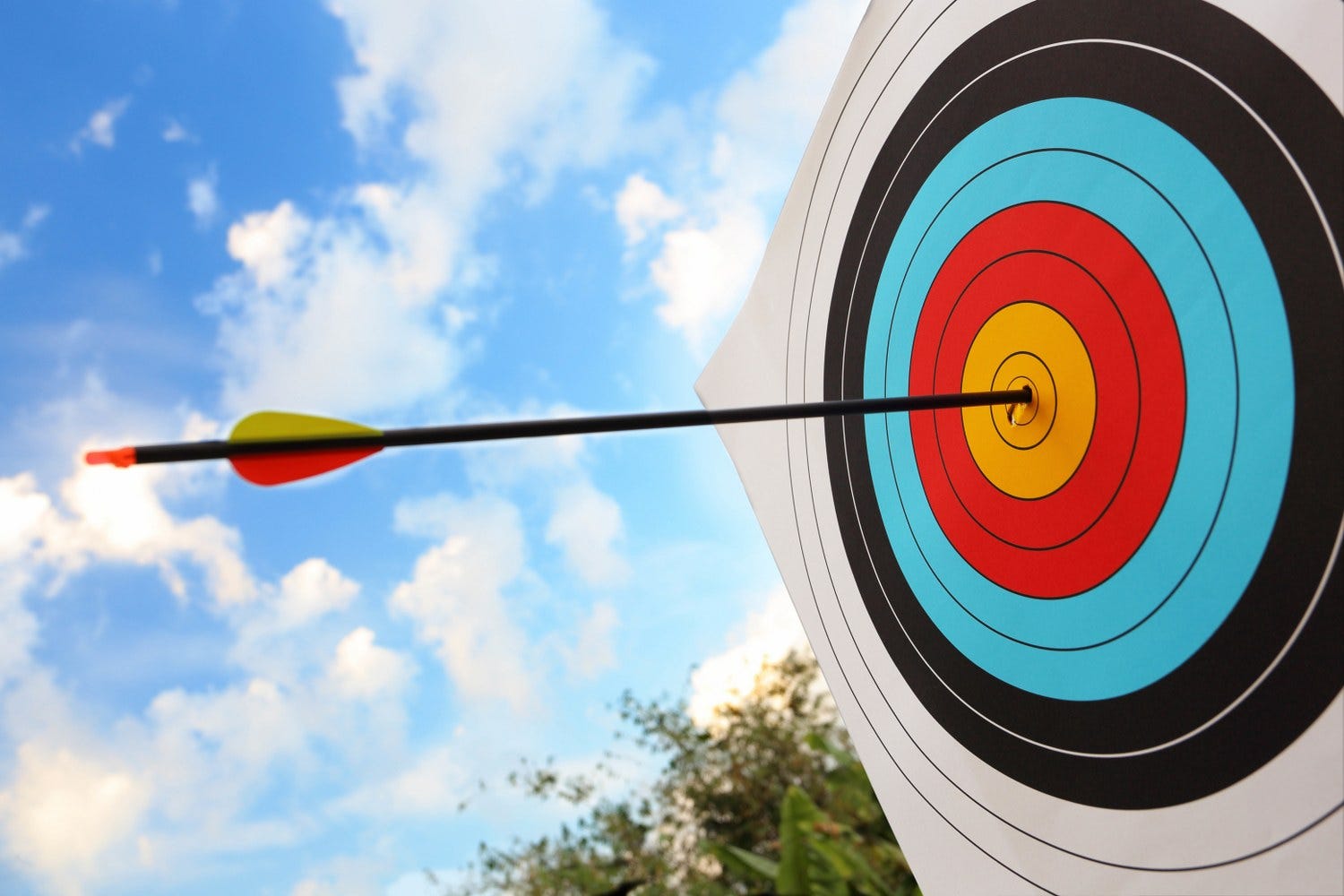 11 Steps of Archery Success – Nehal Umber – Medium