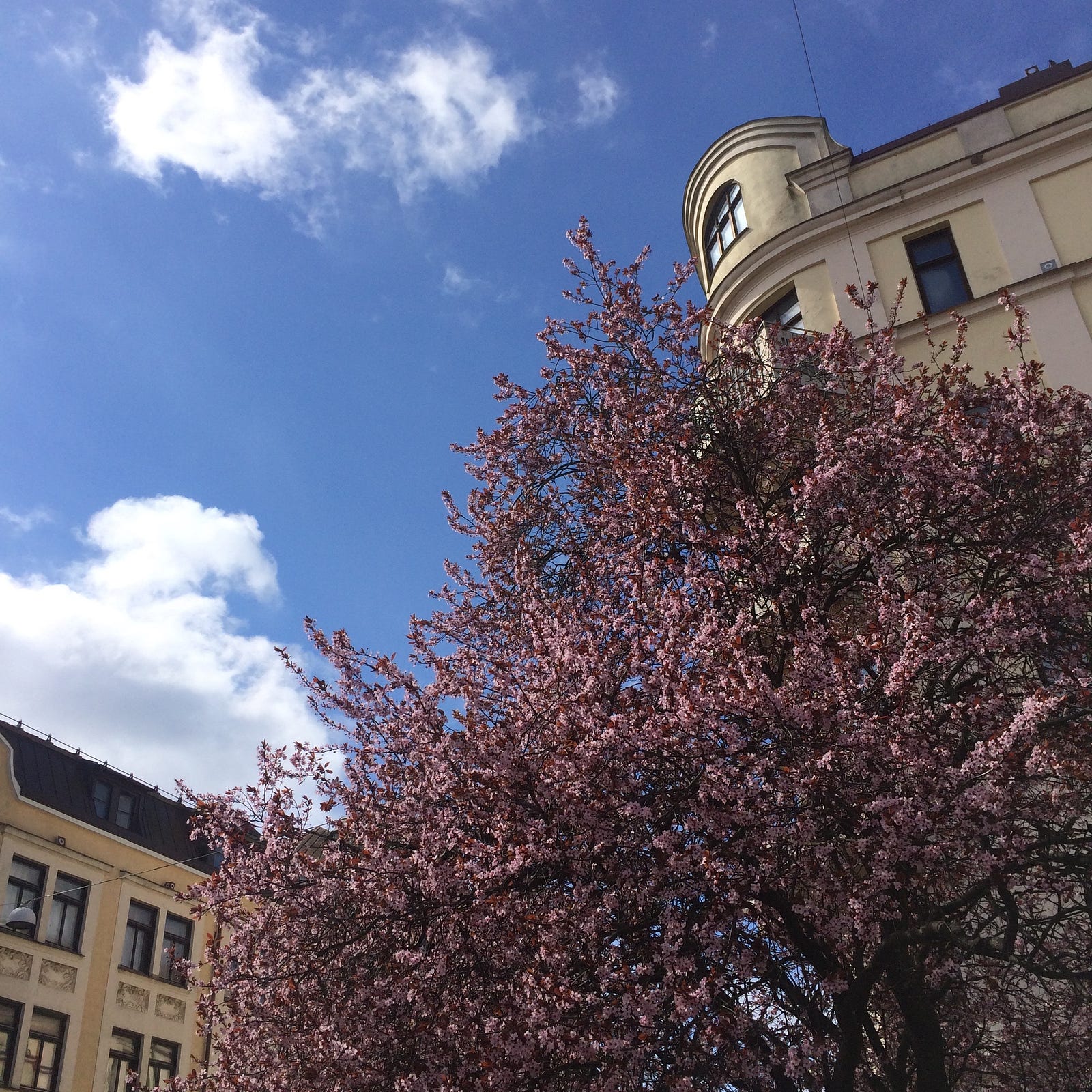 weekend i malmø