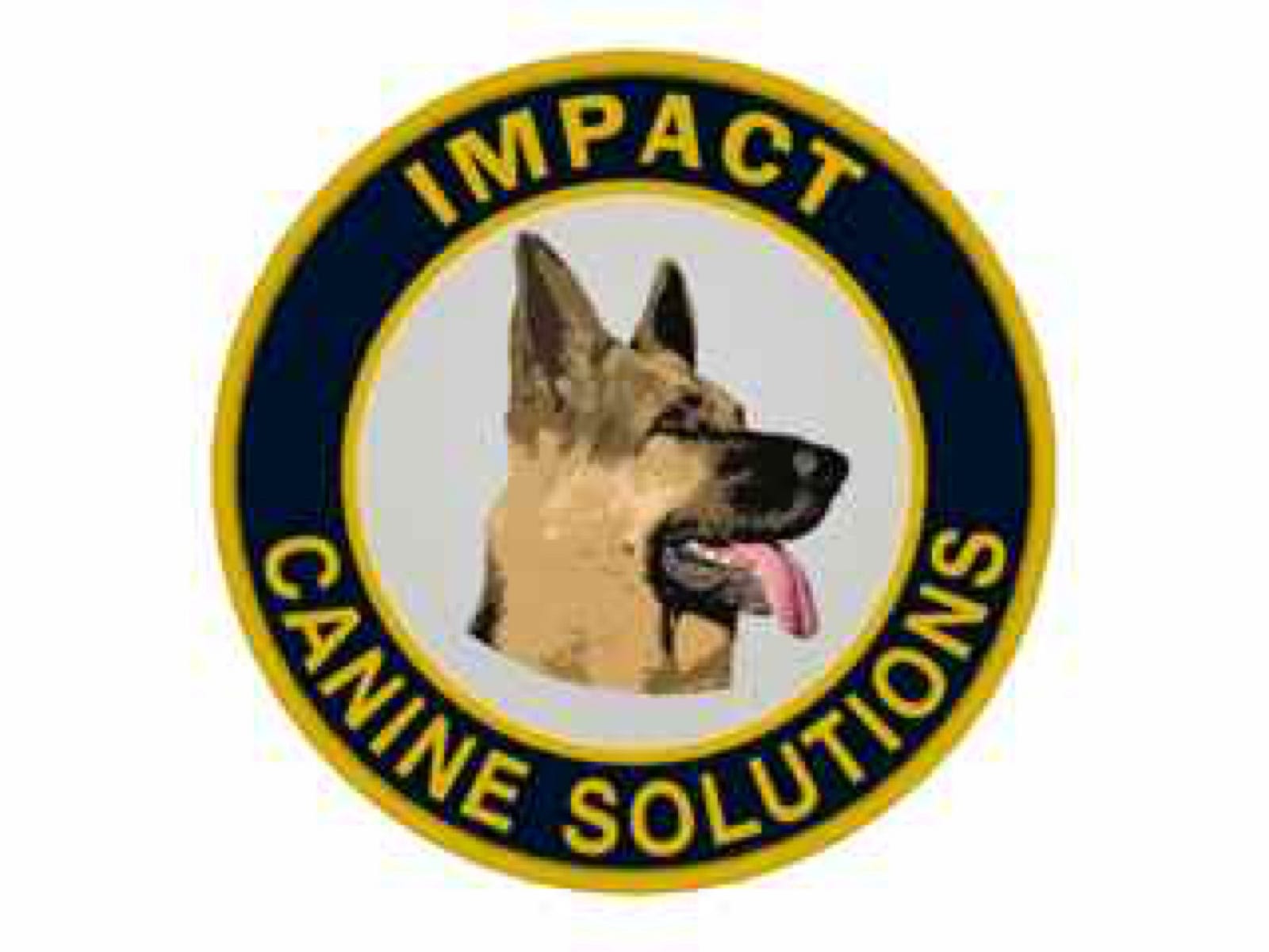 Canine Mdma Detection Fact Or Fiction - gt9mk2n